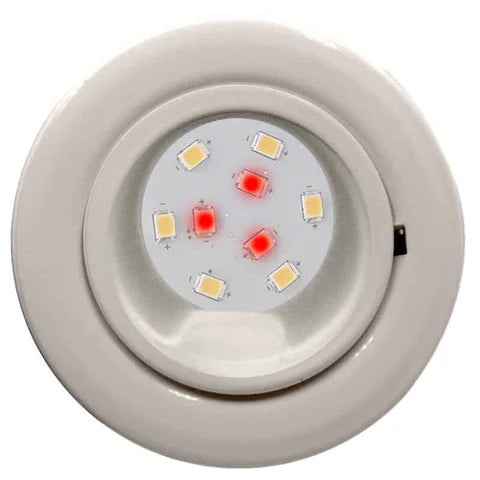 Cabinet Light (White) - 9 LEDs (Night Vision Red & White)